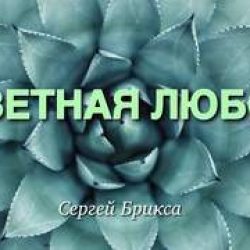 Сергей Брикса – Заветная любовь (2014)