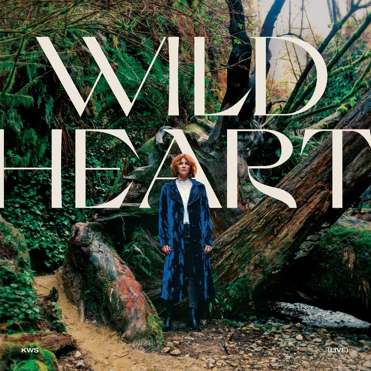 Kim Walker-Smith - Wild Heart (Live) 2020 слушать альбом поклонения