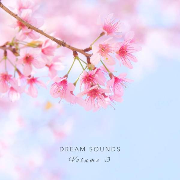 Dream Sounds Vol. 3 (2020) слушать скачать красивую музыку под звуки природы